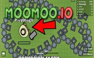 Moomoo.io Experimental Server moomoo.io experimental