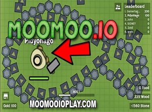 how to make a private server in moomoo.io 