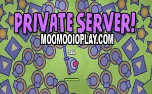 moomoo io server 1270 moomoo io server 1270