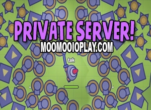 Play In MooMoo.io Private Server