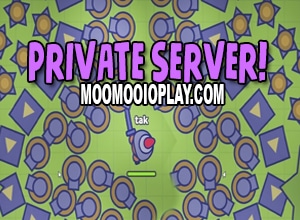 how to make a private server in moomoo.io 