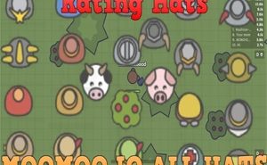 Learn More On Moomoo.io All Hats moomoo.io all hats