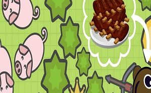 MooMooio Food – An Important Resource moomooio food