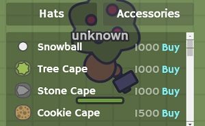 MooMoo.io Accessories List moomoo.io accessories