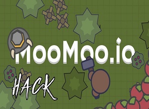 moomoo.io hack 2019